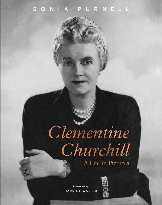 Book cover for Clementine Churchill