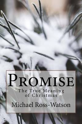 Book cover for Promise