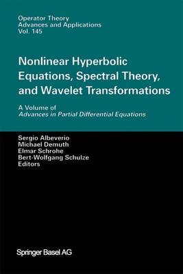 Book cover for Nonlinear Hyperbolic Equations, Spectral Theory, and Wavelet Transformations