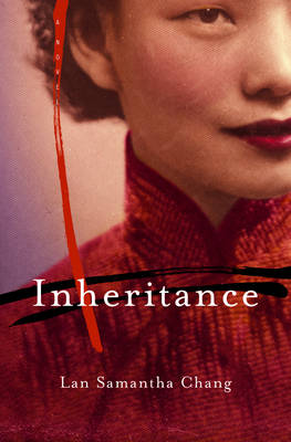 Book cover for Inheritance: A Novel