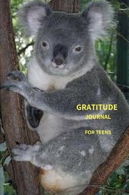 Book cover for Gratitude Journal for Teens