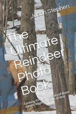 Book cover for The Ultimate Reindeer Photo Book