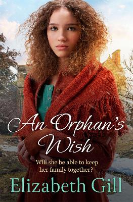 Book cover for An Orphan's Wish