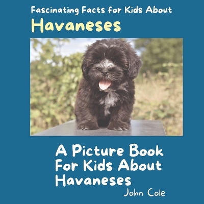 Book cover for A Picture Book for Kids About Havaneses
