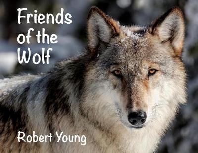 Book cover for Friends of the Wolf