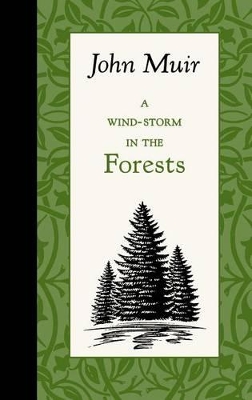 Book cover for A Wind-Storm in the Forests