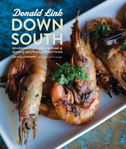 Book cover for Down South