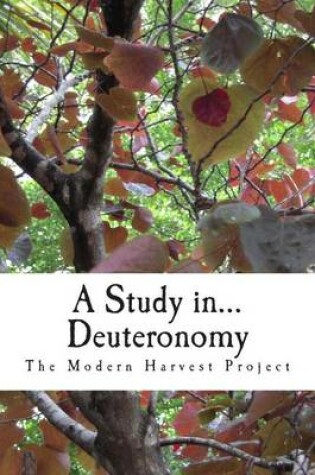 Cover of A Study In... Deuteronomy