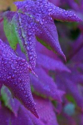 Book cover for Journal Pretty Purple Leaves