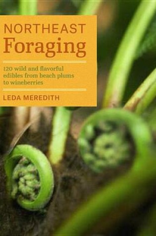 Cover of Northeast Foraging