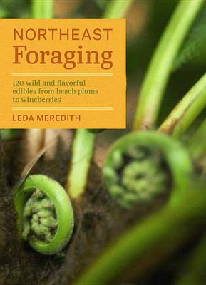 Book cover for Northeast Foraging