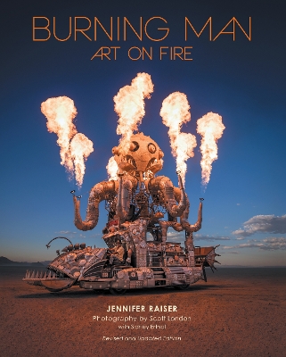 Book cover for Burning Man: Art on Fire