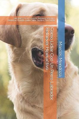 Book cover for Como Lidiar Con Un Perro Labrador Retriever Hiperactivo