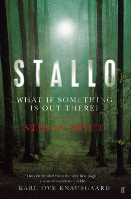 Book cover for Stallo