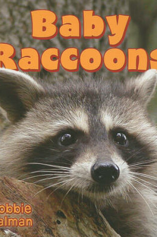 Cover of Baby Raccoons