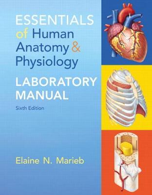 Book cover for Essentials of Human Anatomy & Physiology Laboratory Manual (Subscription)