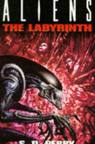 Cover of The Labyrinth