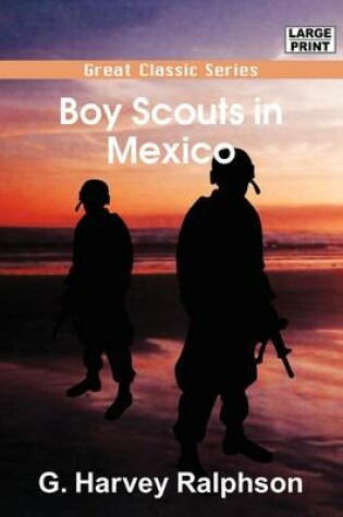 Cover of Boy Scouts in Mexico