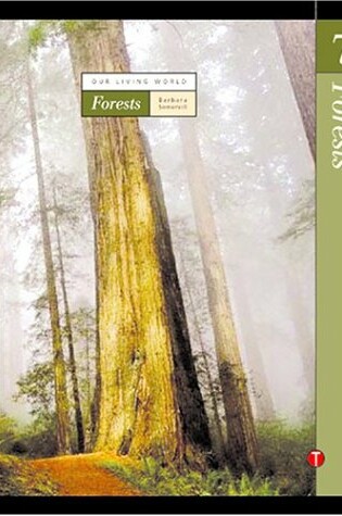 Cover of Volume 7: Forests