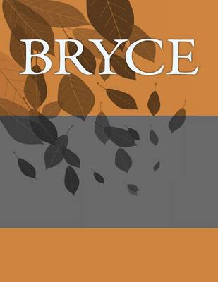 Book cover for Bryce