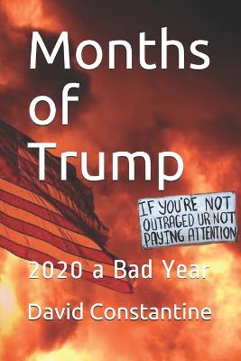 Book cover for Months of Trump
