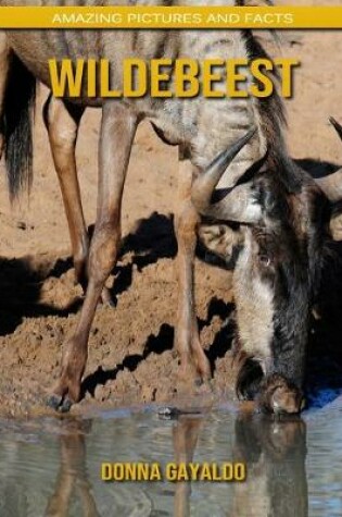 Cover of Wildebeest