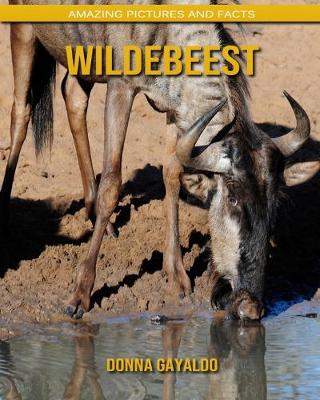 Book cover for Wildebeest