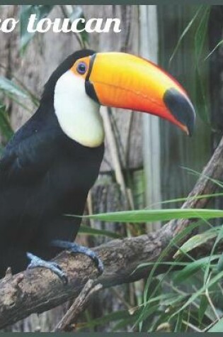 Cover of Toco Toucan 2021 Wall Calendar