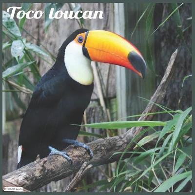 Book cover for Toco Toucan 2021 Wall Calendar