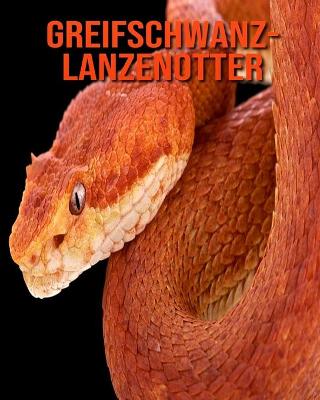 Book cover for Greifschwanz-Lanzenotter