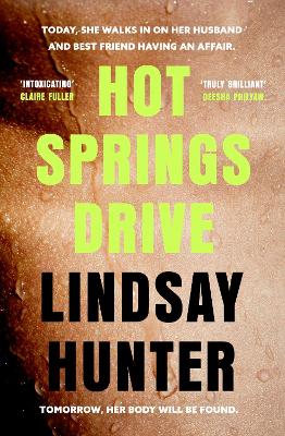 Book cover for Hot Springs Drive