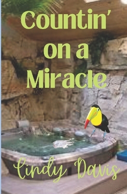 Book cover for Countin' on a Miracle