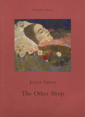 Book cover for The Other Sleep