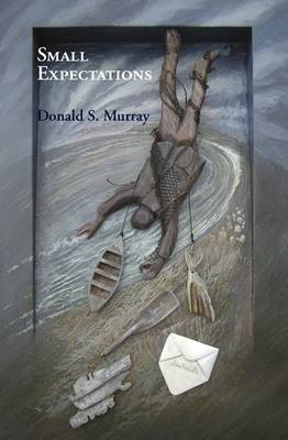 Book cover for Small Expectations