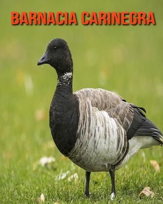 Book cover for Barnacia carinegra