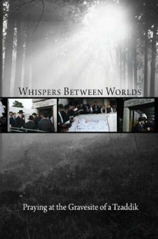 Cover of Whispers Between Worlds
