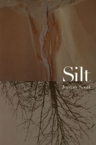 Cover of Silt