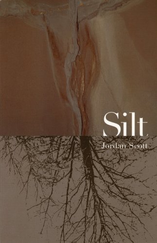 Book cover for Silt