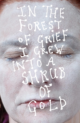 Book cover for In the forest of grief I grew into a shrub of gold