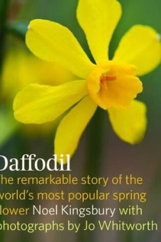 Cover of Daffodil