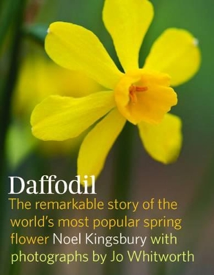 Book cover for Daffodil