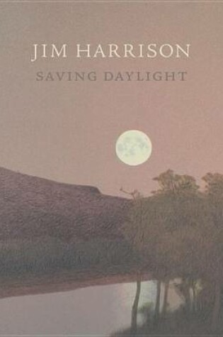 Cover of Saving Daylight