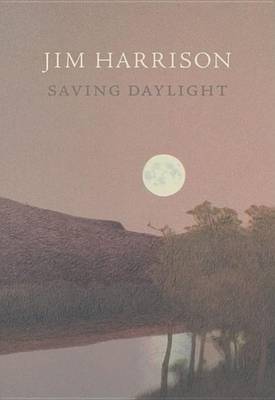 Book cover for Saving Daylight