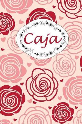 Book cover for Caja