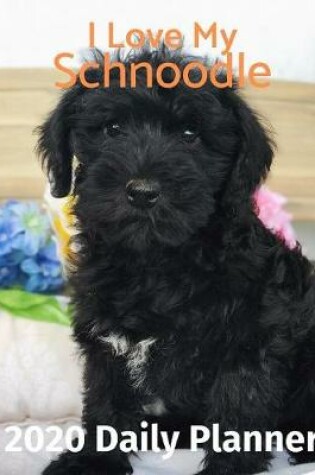 Cover of I Love My Schnoodle