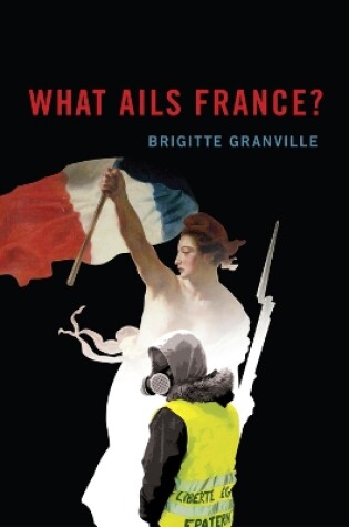 Cover of What Ails France?