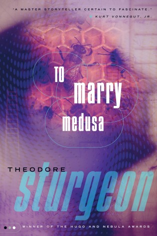 Cover of To Marry Medusa