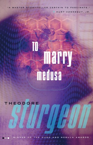 Book cover for To Marry Medusa