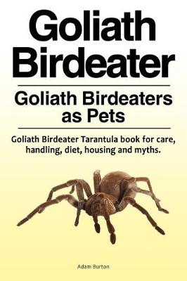 Book cover for Goliath Birdeater . Goliath Birdeaters as Pets. Goliath Birdeater Tarantula book for care, handling, diet, housing and myths.