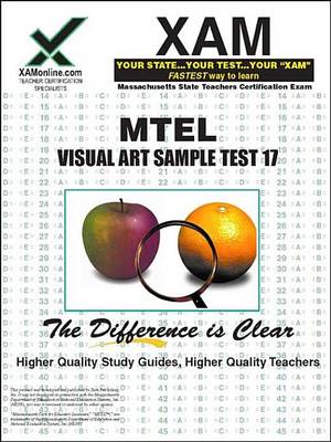 Book cover for Mtel 17 Visual Art Sample Test